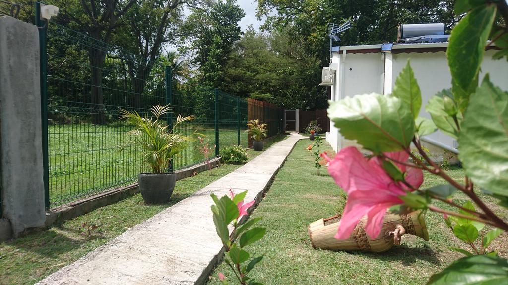 Rêve créole Vila Deshaies Exterior foto