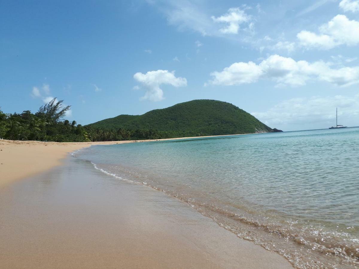 Rêve créole Vila Deshaies Exterior foto