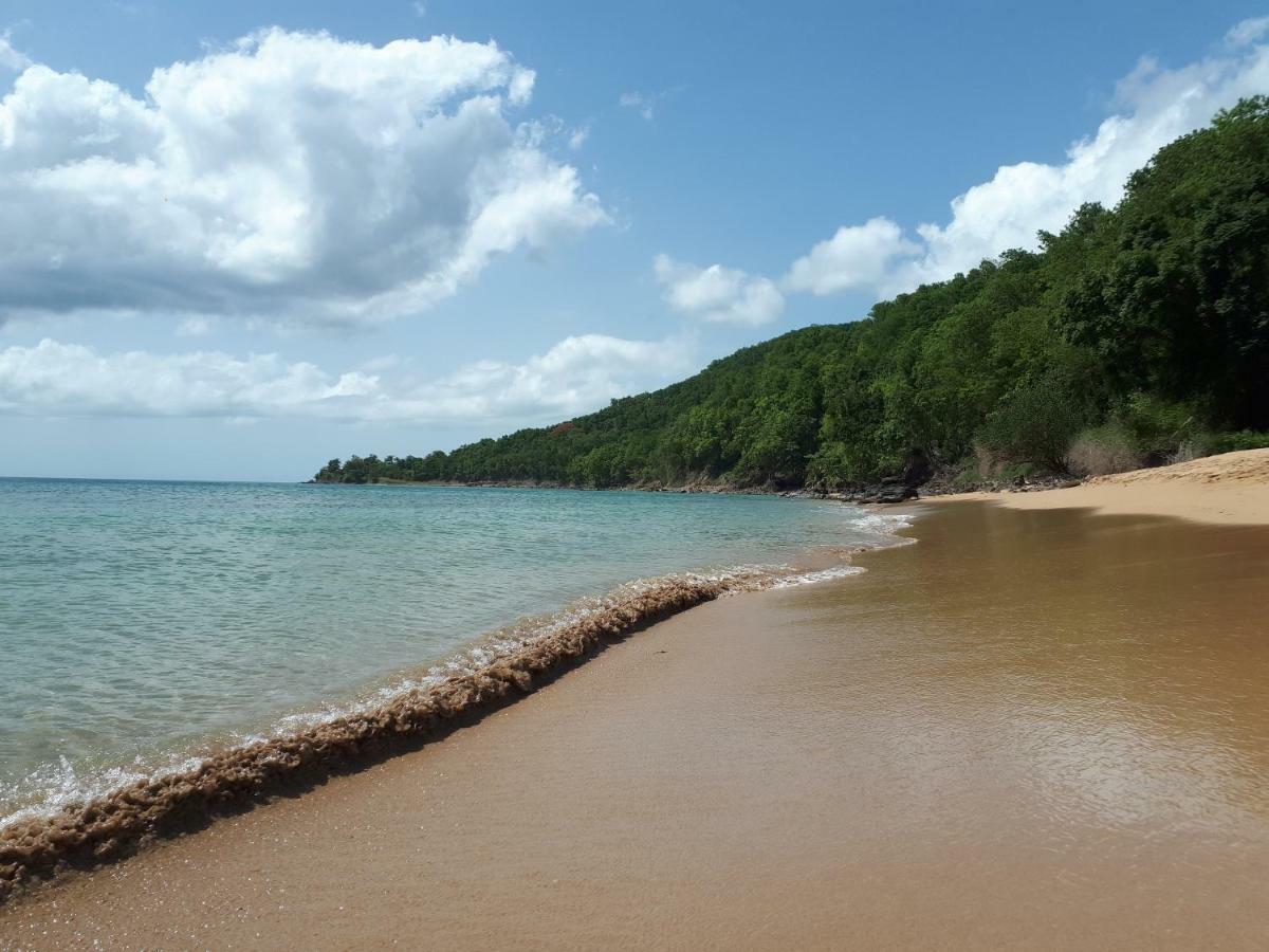 Rêve créole Vila Deshaies Exterior foto