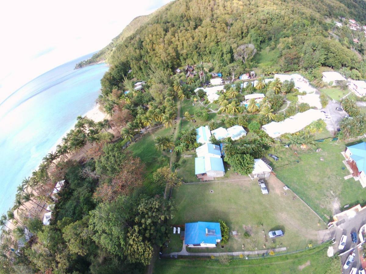 Rêve créole Vila Deshaies Exterior foto