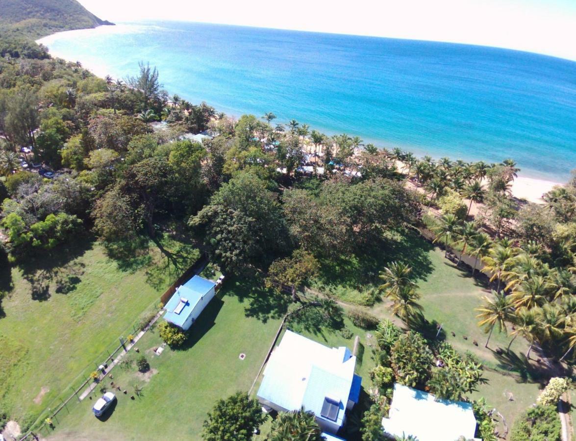 Rêve créole Vila Deshaies Exterior foto